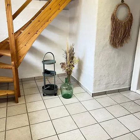 Spacious Near & Alokke Forest *