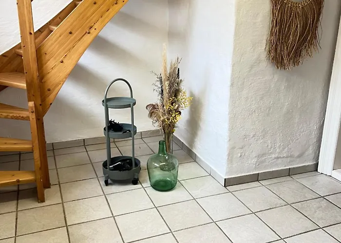 Spacious Near & Alokke Forest *